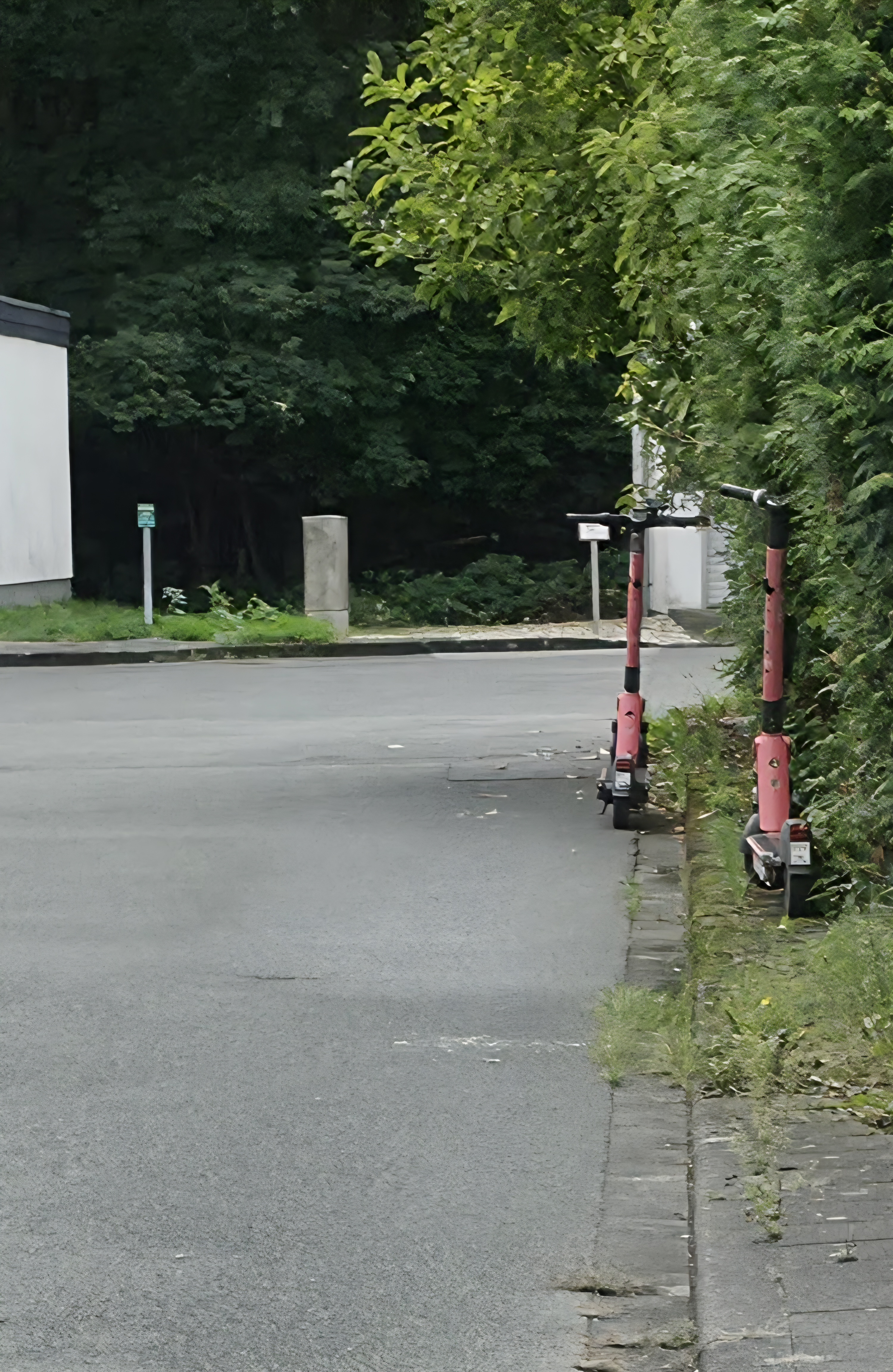Bild konnte nicht geladen werden